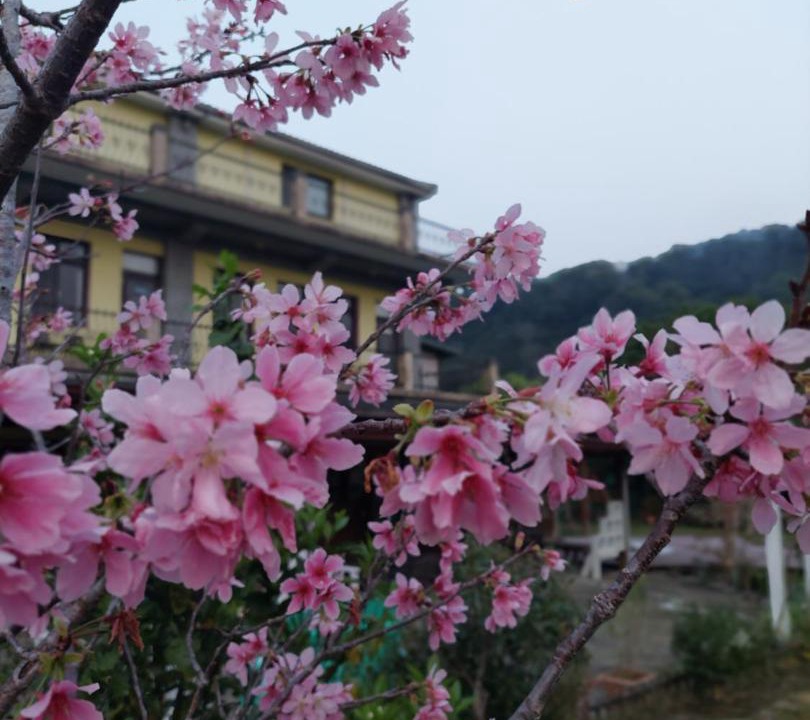Photo of Others in Nanzhuang