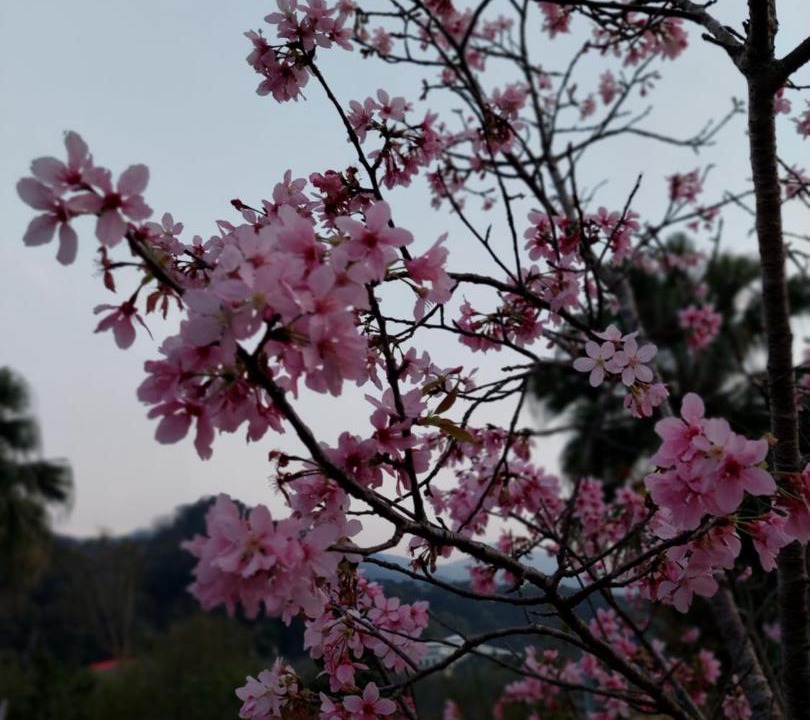 Photo of Others in Nanzhuang