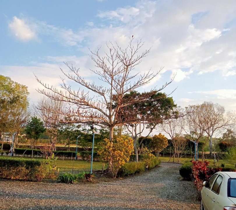 Photo of Outdoor in Guangfu
