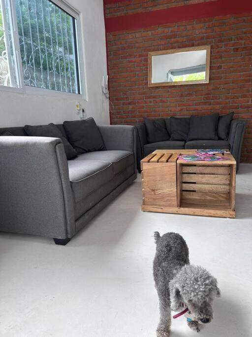Photo of Livingroom in Bacocho