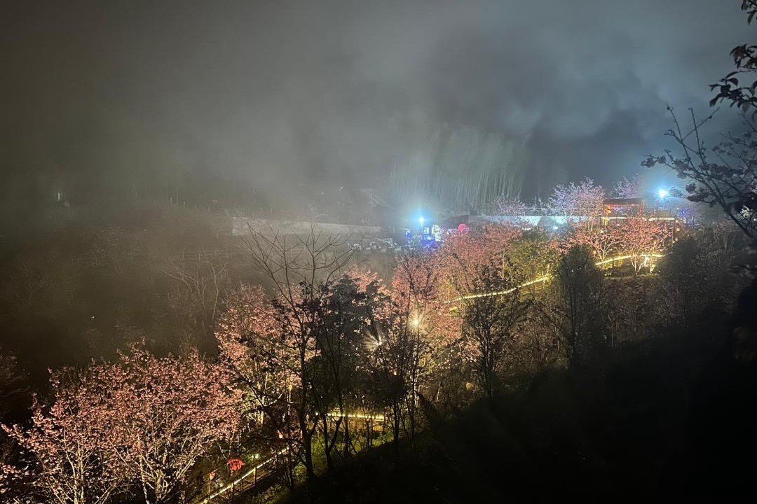 Photo of Others in Zhuqi