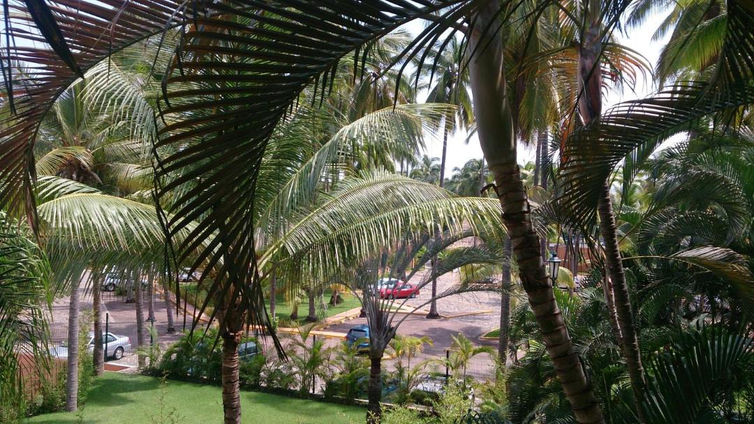 Photo of Others in South Hotel Zone