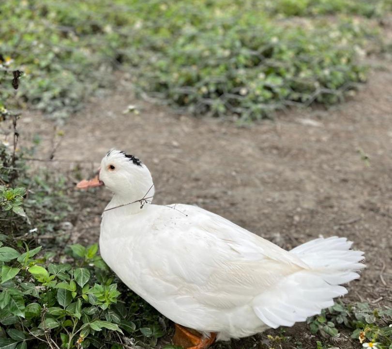 Photo of Others in Guanshan