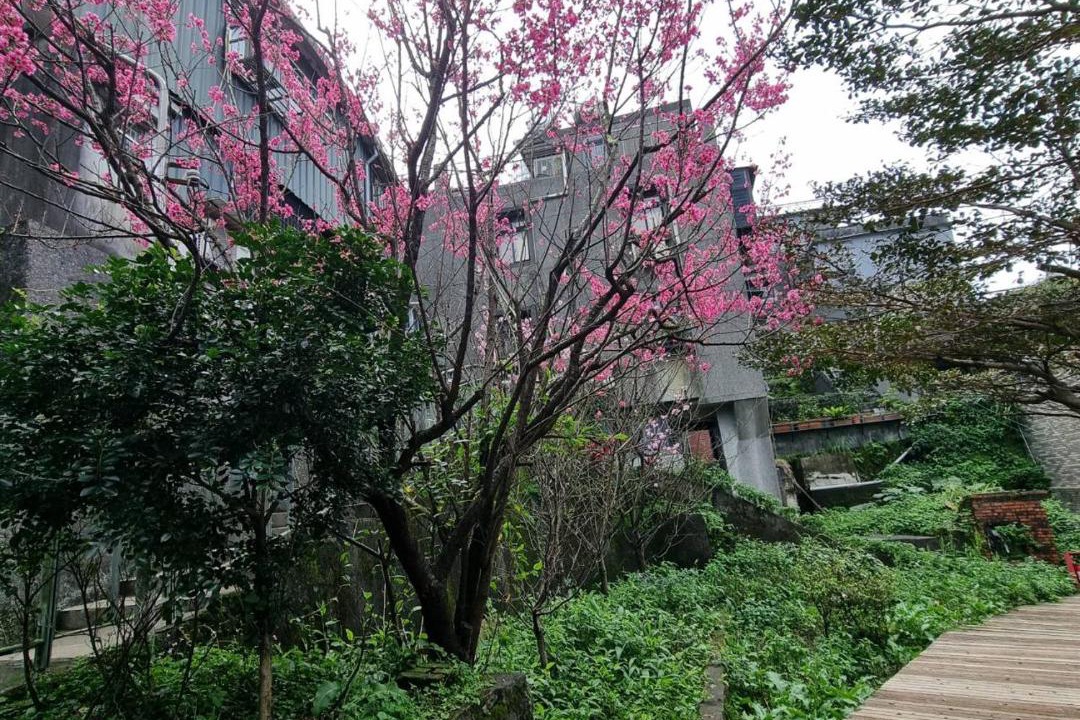 Photo of Others in Ruifang