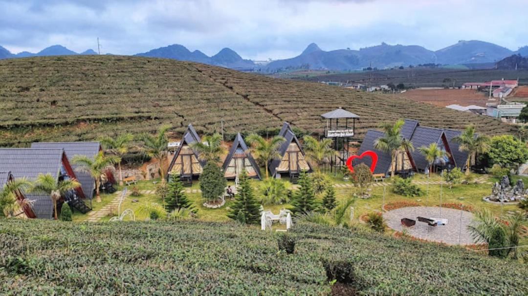 Photo of Others in Moc Chau