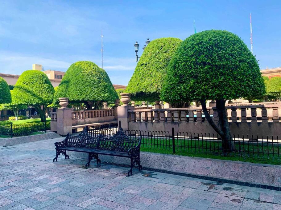 Photo of Others in Leon Centro