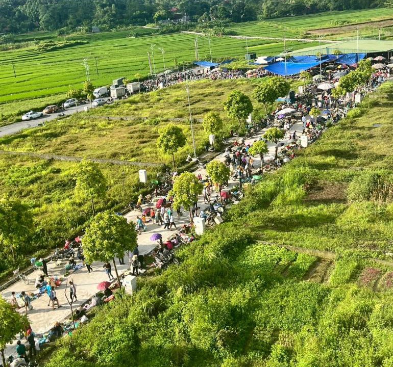 Photo of Others in Ha Giang