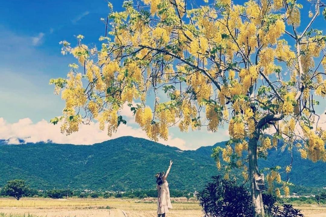 Photo of Others in Yuli