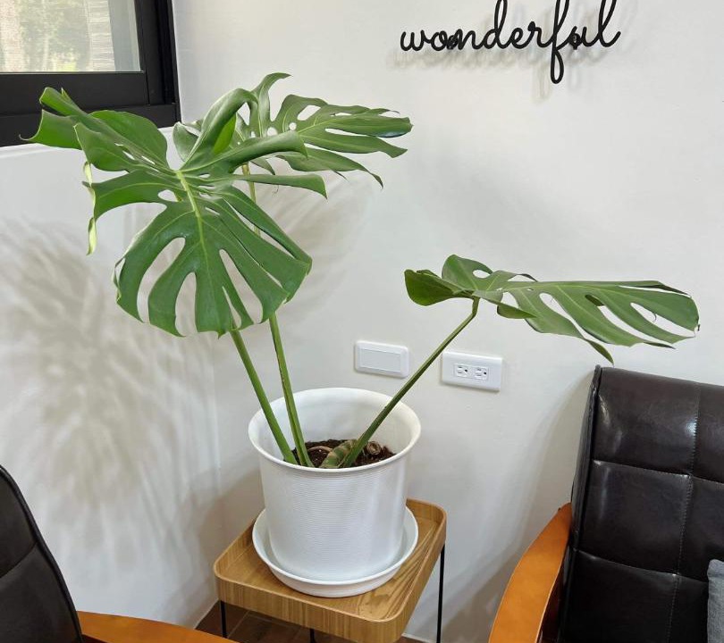 Photo of Livingroom in Huxi
