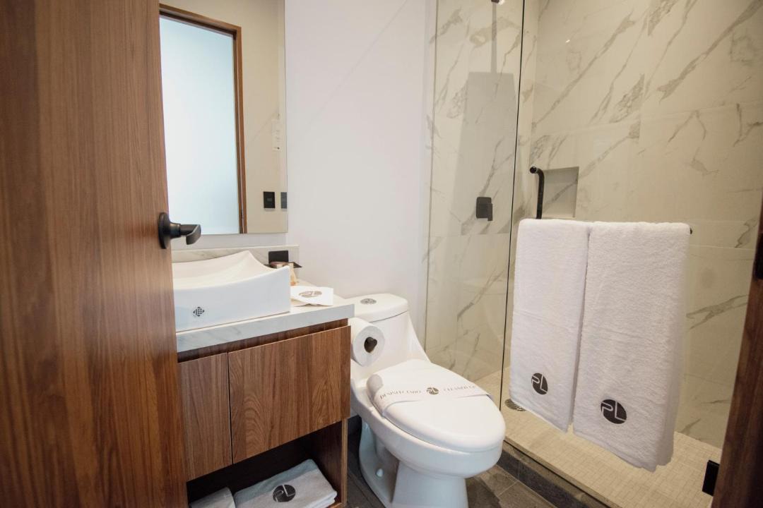 Photo of Bathroom in Coyoacan