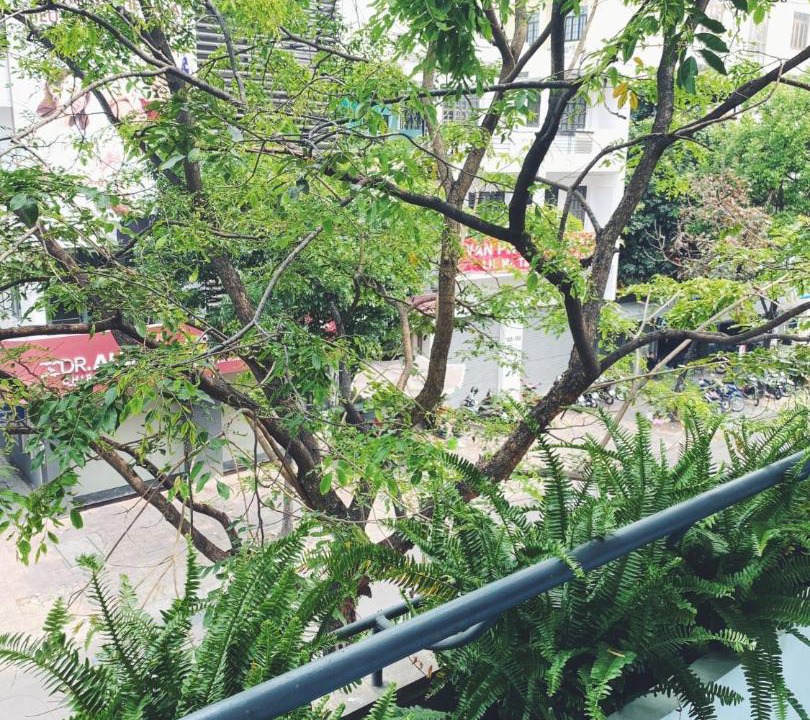 Photo of Others in Phuong 6