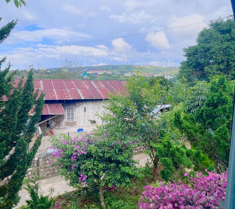 Photo of Others in Da Lat
