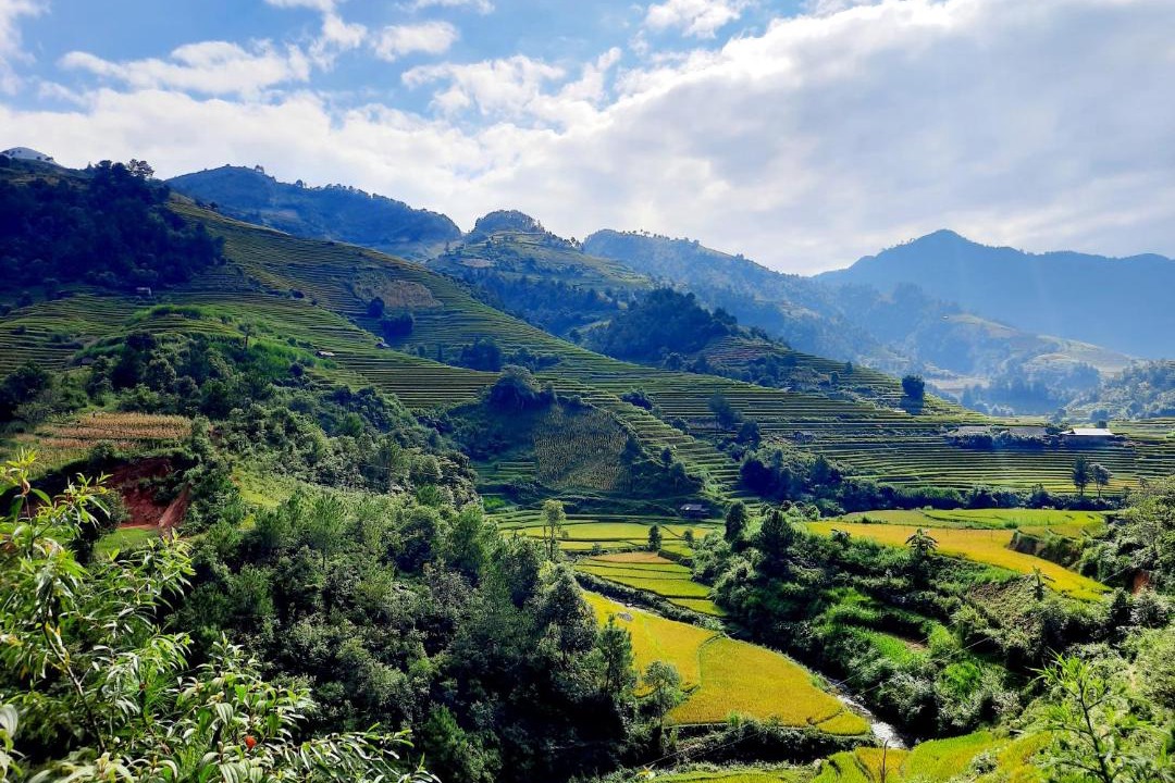 Photo of Others in Mu Cang Chai