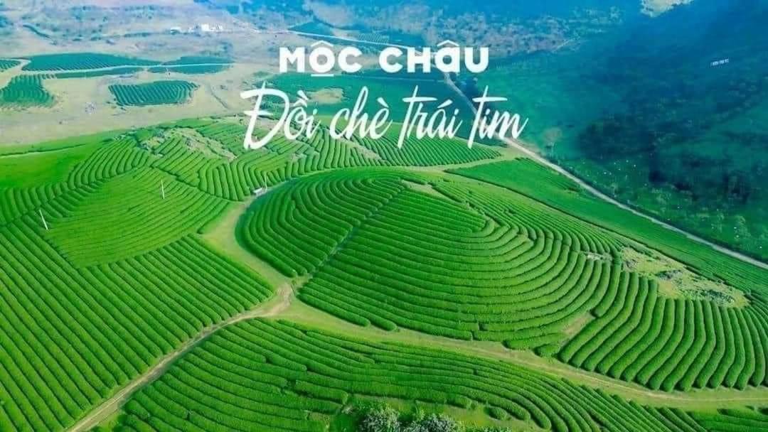 Photo of Others in Moc Chau