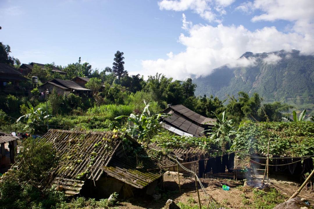 Photo of Others in Hau Thao
