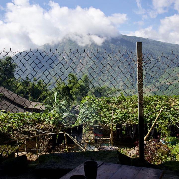 Photo of Others in Hau Thao