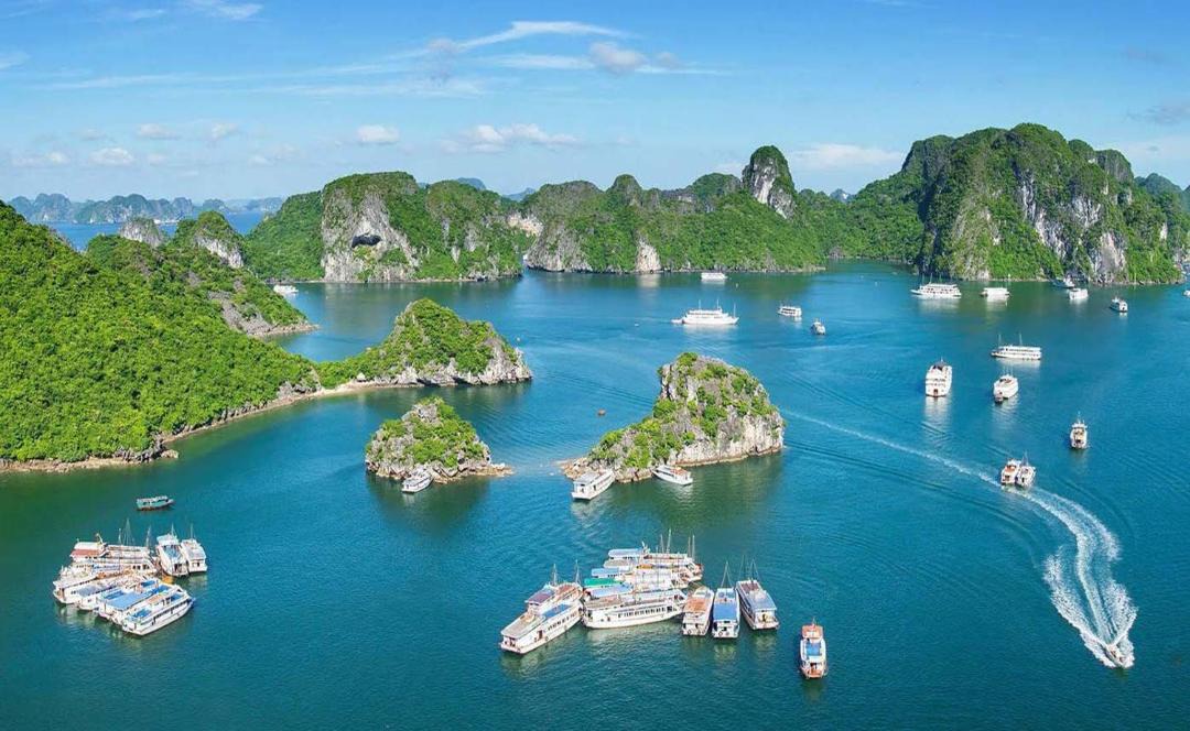 Photo of Others in Cat Ba