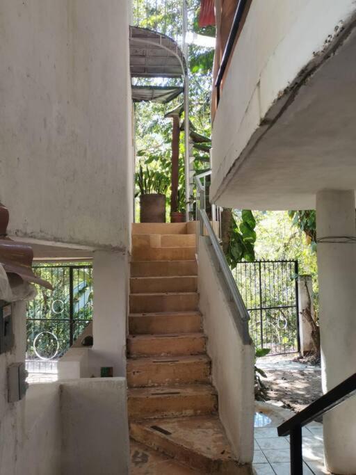 Photo of Others in Puerto Vallarta