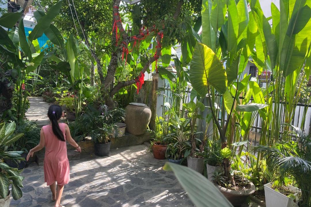 Photo of Others in Hoi An