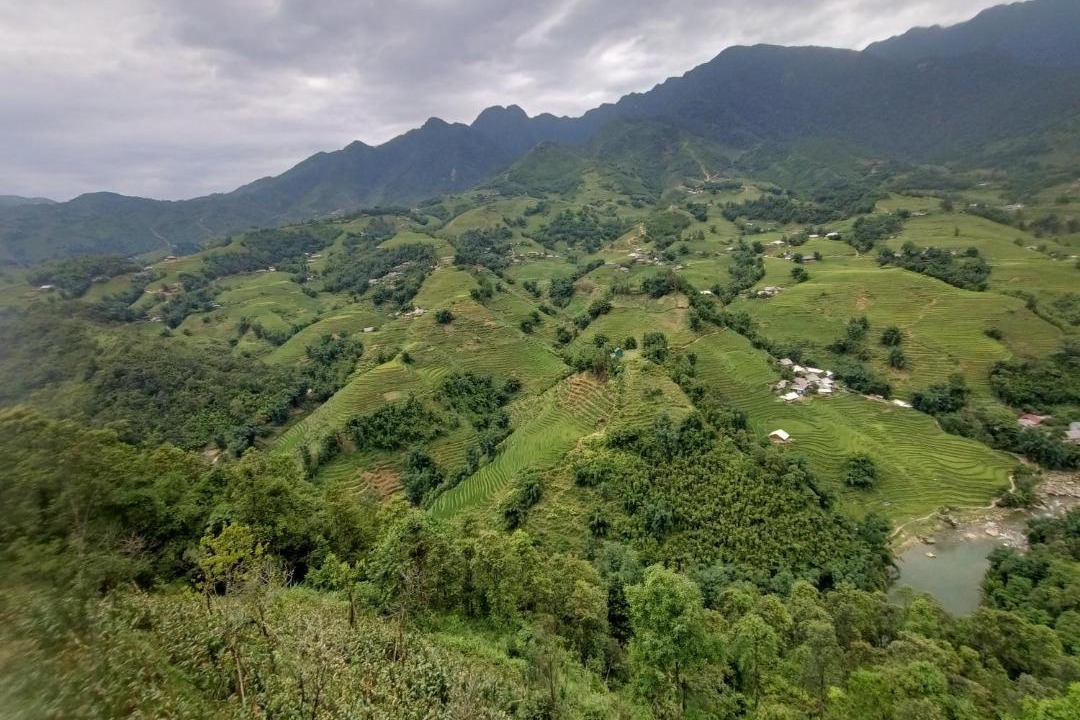 Photo of Others in Hau Thao