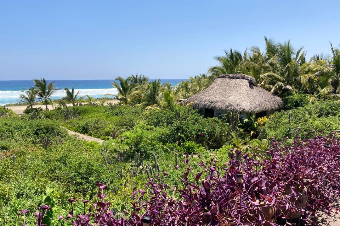 Photo of Outdoor in Barra de Colotepec