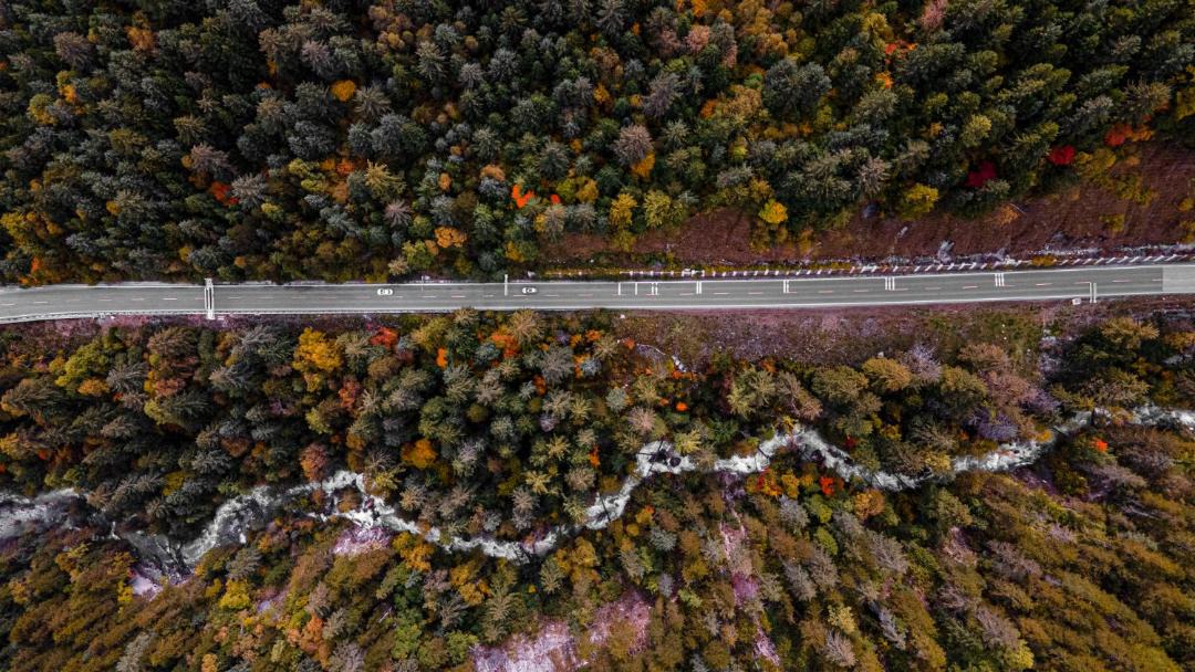 Photo of Others in Jiuzhaigou