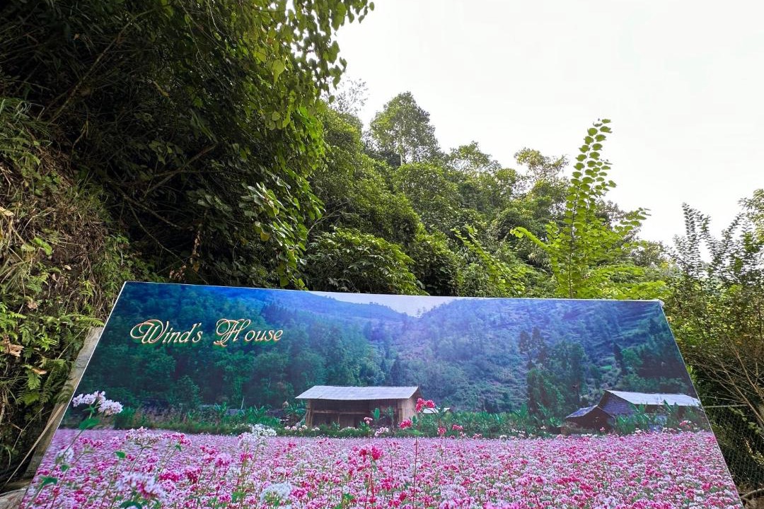 Photo of Others in Vi Xuyen