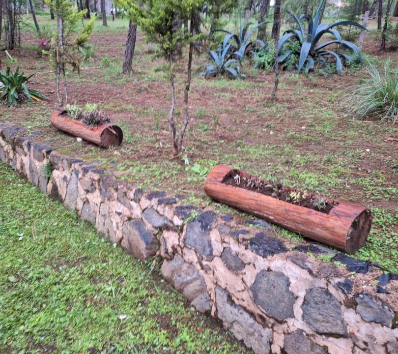 Photo of Others in Tapalpa