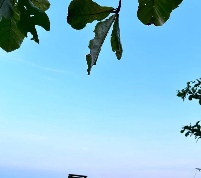Photo of Others in Shoufeng