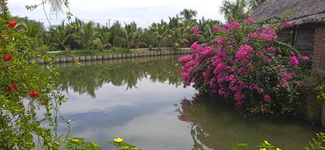 Photo of Outdoor in Cam Thanh