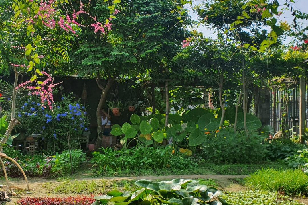Photo of Outdoor in Dien Ban