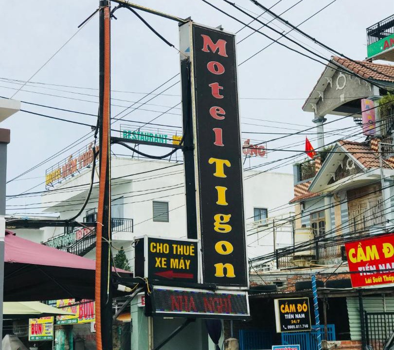 Photo of Others in Thang Binh