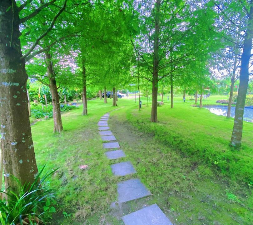 Photo of Others in Shoufeng