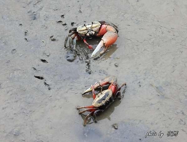 Photo of Others in Qingshui District