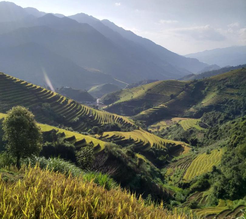 Photo of Others in Mu Cang Chai