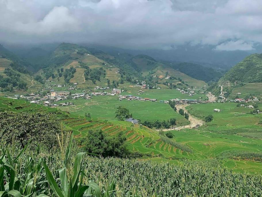Photo of Others in Cha Pai