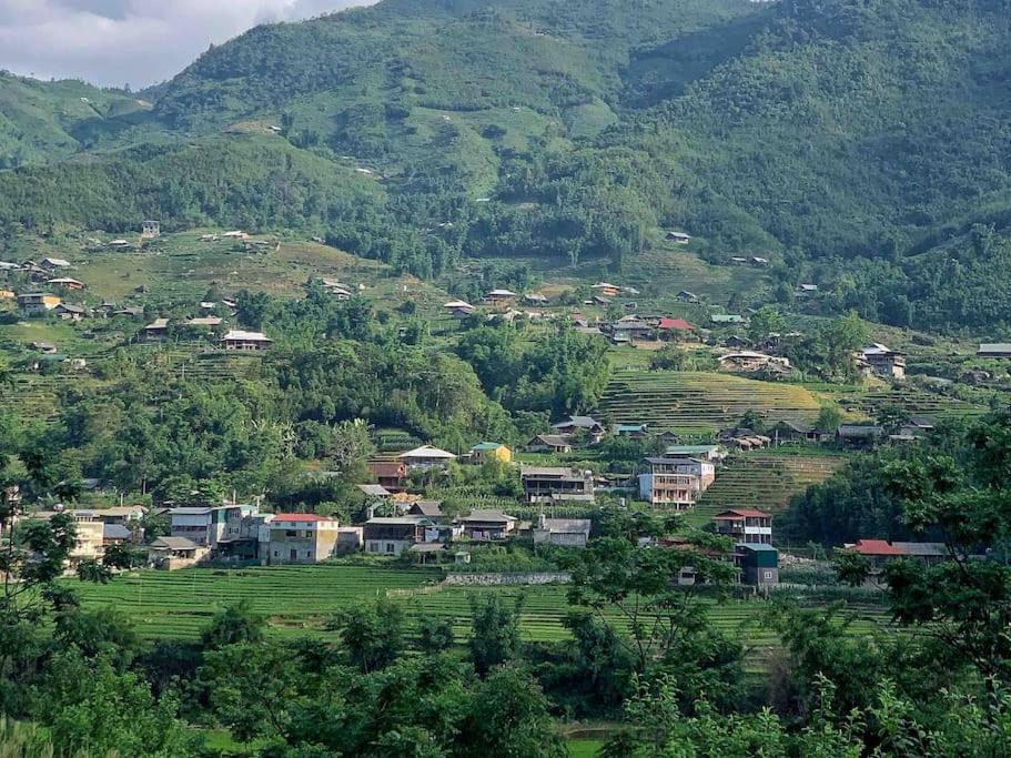 Photo of Others in Cha Pai