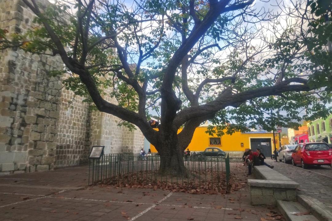 Photo of Others in Centro