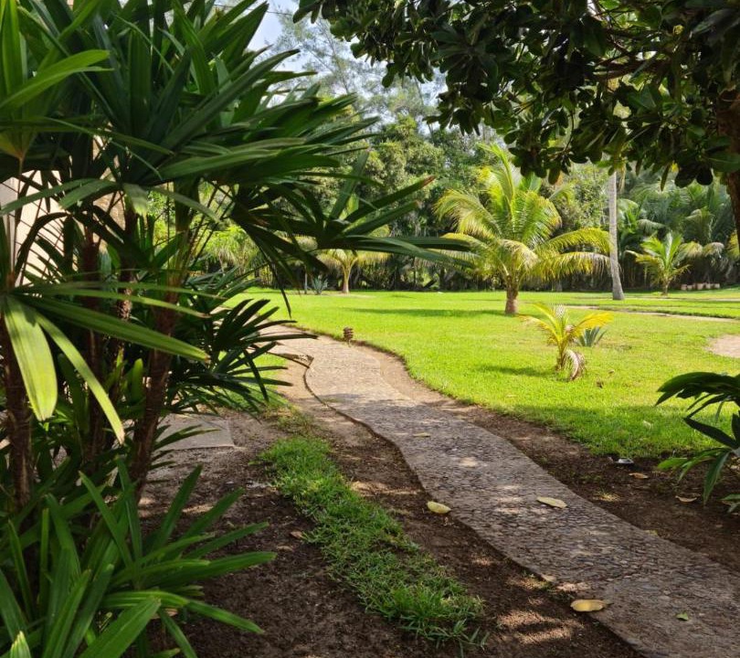 Photo of Others in Tuxpan