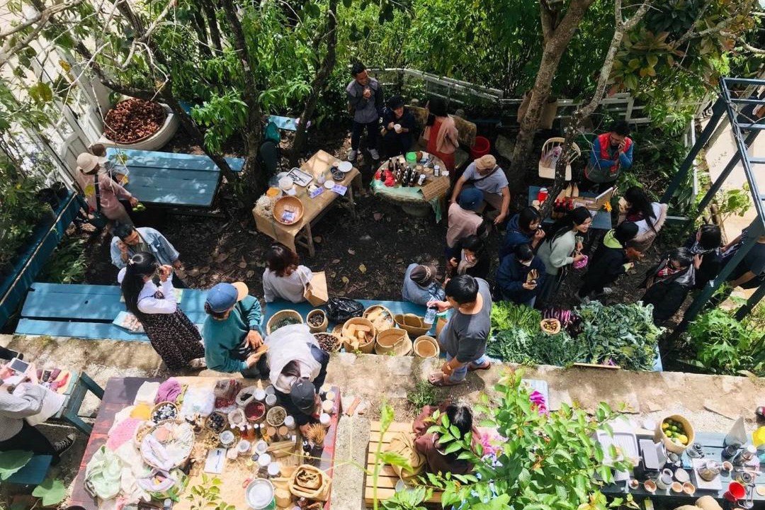 Photo of Others in Phuong 10
