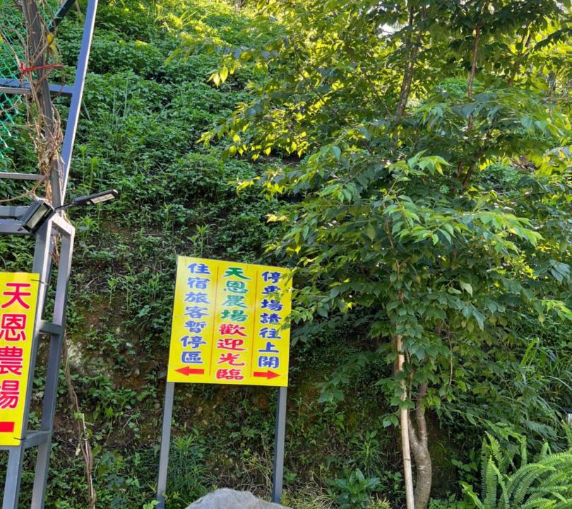 Photo of Others in Fuxing District