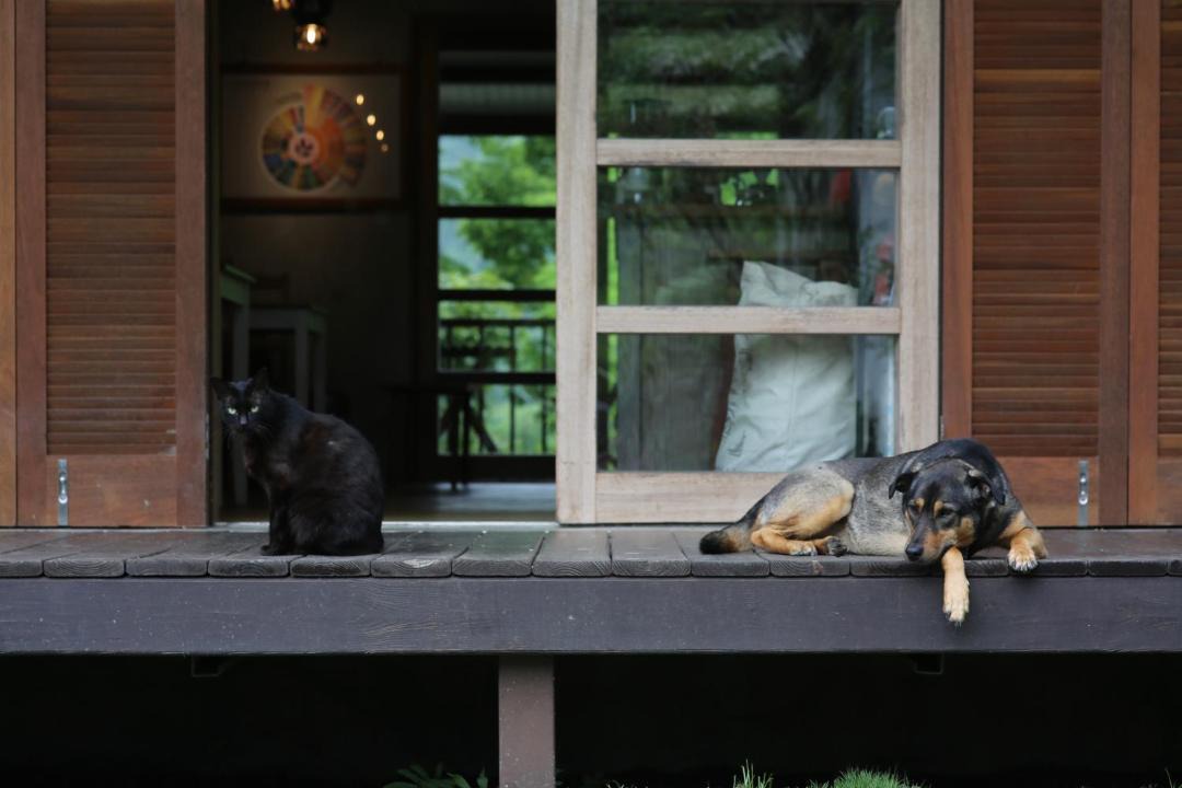 Photo of Others in Guangfu