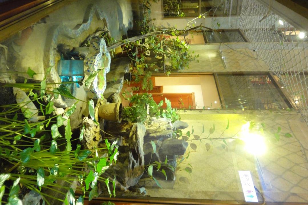 Photo of Others in Taoyuan City Centre