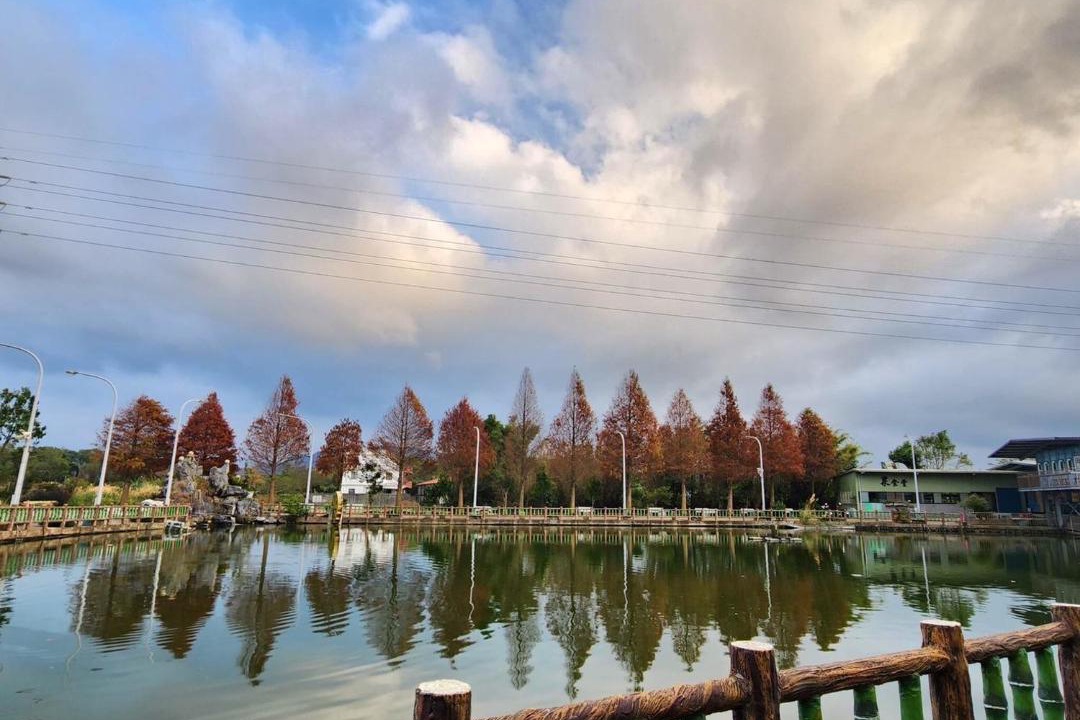 Photo of Others in Longtan District