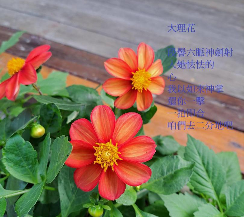 Photo of Others in Guanshan