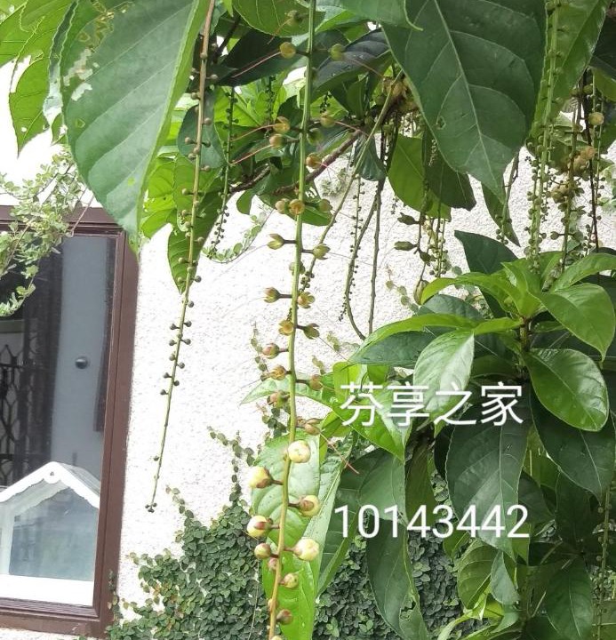 Photo of Outdoor in Shanjiao