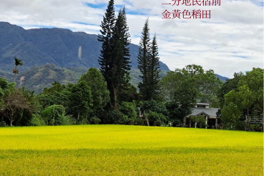 Photo of Others in Guanshan