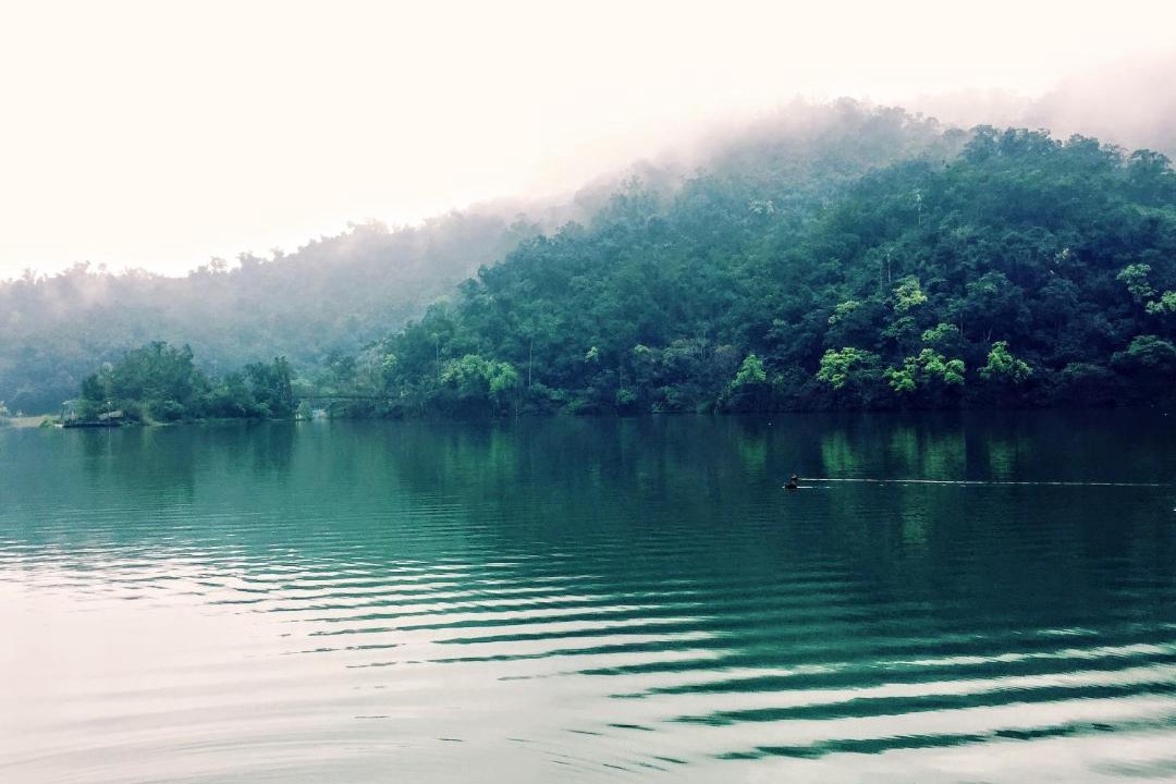 Photo of Others in Dongshan