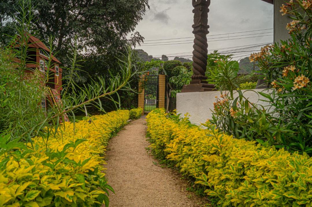 Photo of Others in Tepoztlan