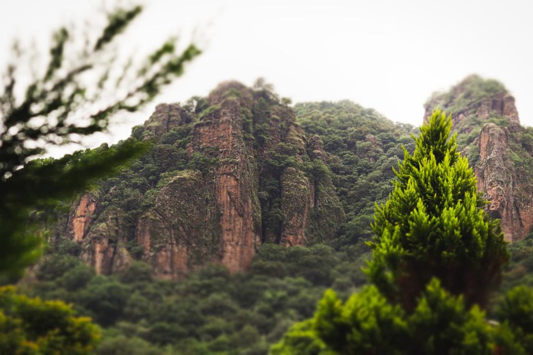 Photo of Others in Tepoztlan